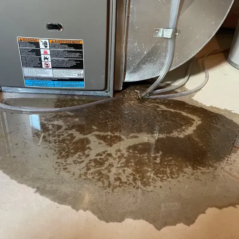 Appliance Leak Cleanup in Texas City, TX